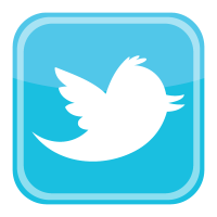 Twitter bird icon logo