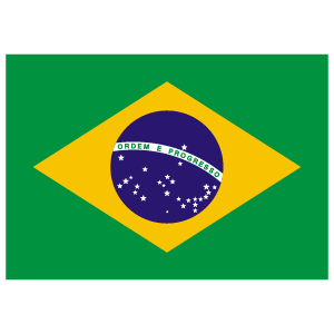 Flag of Brazil logo vector logo