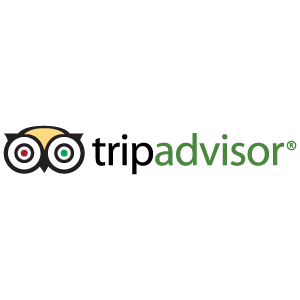 TripAdvisor logo vector logo