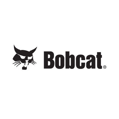 Bobcat vector