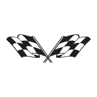 Checkered flag logo