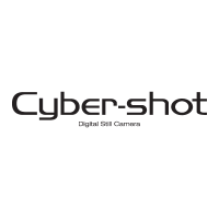 Cyber-shot logo