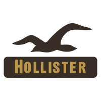 Hollister Co. logo