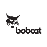 Bobcat  vector