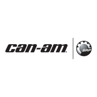 Can-am Brp logo
