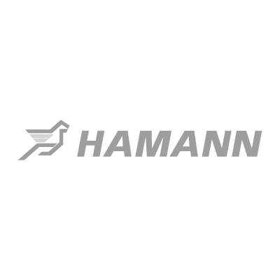 Hamann Motorsport logo vector