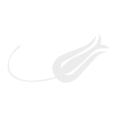 Turk Hava Yollari logo vector logo