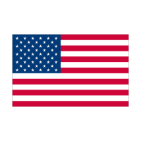 Flag of American vector