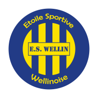 ES Wellinoise (Current) logo