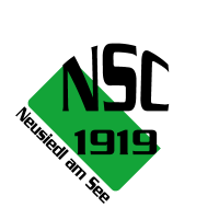 NSC 1919 logo