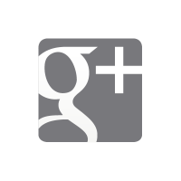 Google Plus grey logo